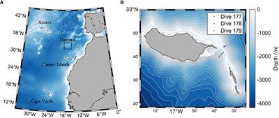 Benthic community zonation from mesophotic to deep sea: Description of first deep-water kelp forest and coral gardens in the Madeira archipelago (central NE Atlantic)